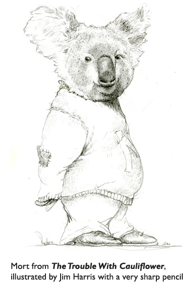 ‘Mort’  A koala bear who demonstrates sharp-pencil illustration technique!  